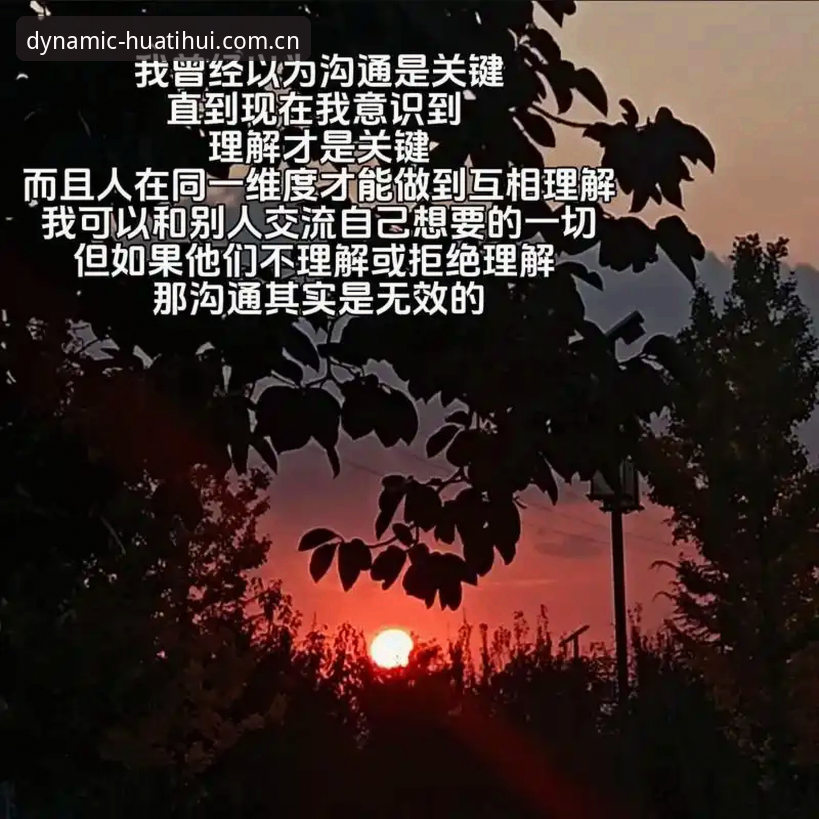 中国出品hth官网登录哪个好 3个关键维度解读:中国出品hth官网登录哪个好,90%的人搞错了重点